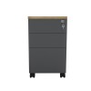 Professional chest of 3 drawers Lotus pakoworld in natural-anthracite color 40x44x61cm