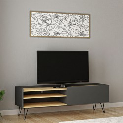 Έπιπλο τηλεόρασης Veronica pakoworld χρώμα ανθρακί-φυσικό 120x33x49,5εκ