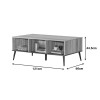 Coffee table Zezan pakoworld in sonoma-dark grey color 121x60x44.5cm
