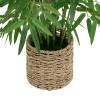 Potted plant Belica pakoworld D45x100cm