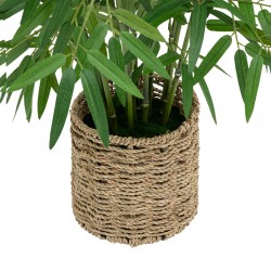 Potted plant Belica pakoworld D45x100cm Potted plant Belica pakoworld D45x100cm