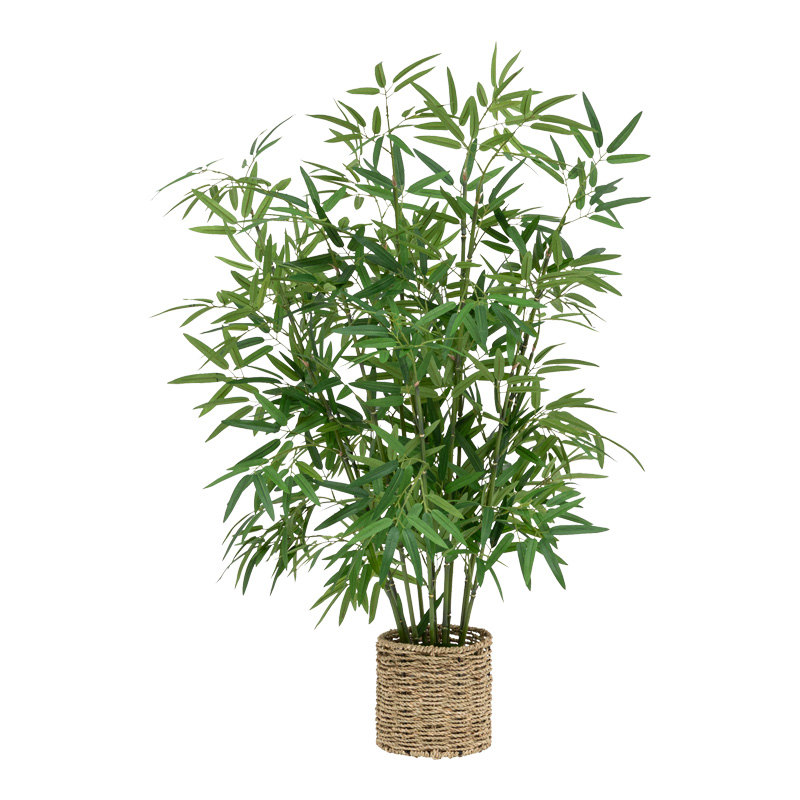 Potted plant Belica pakoworld D45x100cm Potted plant Belica pakoworld D45x100cm