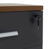 Professional chest of drawers on wheels Oscar pakoworld 3 drawers walnut-charcoal 40x48x63cm