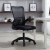 Work chair manager Annalise pakoworld mesh black