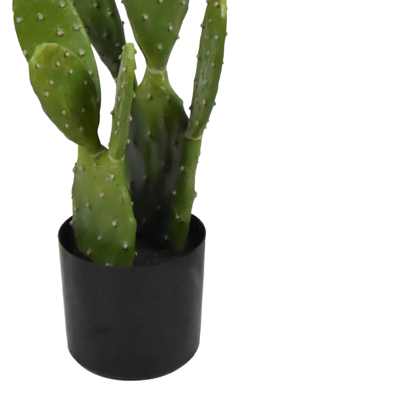 Cactus decorative plant in a pot Inart green pp H64cm Cactus decorative plant in a pot Inart green pp H64cm