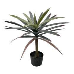 Decorative plant Dracaena palm in a pot Inart green pp H62cm Decorative plant Dracaena palm in a pot Inart green pp H62cm