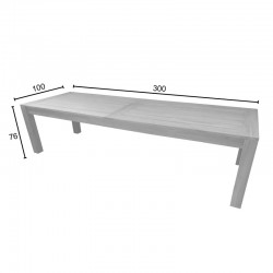 Table Pablo pakoworld teak wood in natural shade 300x100x76cm Table Pablo pakoworld teak wood in natural shade 300x100x76cm