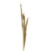 Διακοσμητικό φυτό pampas Beroun Inart σετ των 3τεμ σε φυσική απόχρωση Υ140εκ