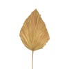 Διακοσμητικό φύλλο Walsy Inart palm leaf σε φυσική απόχρωση Υ135 εκ