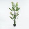 Decorative plant in a pot Aglaonema Inart green D80x150cm