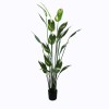 Ornamental plant in pot Lucky I Inart green D80x210cm