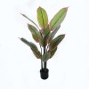 Ornamental plant in pot Calathea Inart green D68x120cm