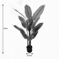 Διακοσμητικό φυτό σε γλάστρα Calathea Inart πράσινο Φ68x120εκ