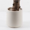 Decorative plant in pot Wentii Inart green D130x180cm