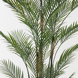 Διακοσμητικό φυτό σε γλάστρα Kwai Inart πράσινο Φ125x180εκ