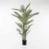 Decorative plant in a pot Kwai Inart green D125x180cm