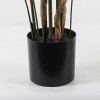 Decorative plant in a pot Kwai Inart green D125x180cm
