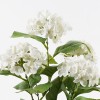 Decorative plant in a pot Hydrangea Inart white D35x50cm