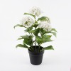 Decorative plant in a pot Hydrangea Inart white D35x50cm