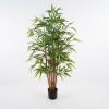 Decorative plant in a pot Rhapis Palm Inart green D60x120cm