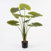Decorative plant in a pot Alocasia Inart green D90x120cm