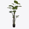 Decorative plant in a pot Taro Plant Inart green D90x180cm