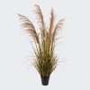 Decorative plant in a pot Bulrush Inart D65x120cm
