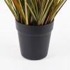 Decorative plant in a pot Bulrush Inart D65x120cm