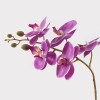 Decorative plant in a pot Orchid Beauty Inart 30x13x46cm