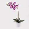Decorative plant in a pot Orchid Beauty Inart 30x13x46cm