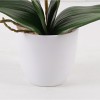 Decorative plant in a pot Orchid Beauty Inart 30x13x46cm
