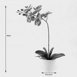 Διακοσμητικό φυτό σε γλάστρα Οrchid Beauty Inart 30x13x46εκ