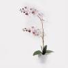 Decorative plant in a pot Orchid White Inart 36x17x65cm