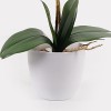 Decorative plant in a pot Orchid White Inart 36x17x65cm