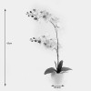 Decorative plant in a pot Orchid White Inart 36x17x65cm