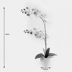 Διακοσμητικό φυτό σε γλάστρα Οrchid White Inart 36x17x65εκ