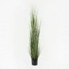 Decorative plant in a pot Boxwood Inart green D46x150cm
