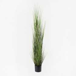 Διακοσμητικό φυτό σε γλάστρα Βoxwood Inart πράσινο Φ46x150εκ