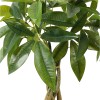 Decorative plant in pot Pachira Inart green D40x60cm