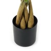 Decorative plant in pot Pachira Inart green D40x60cm