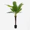 Decorative plant in a pot Musa Inart green D105x180cm