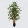 Decorative plant in a pot Rhapis Palm Inart green D80x180cm