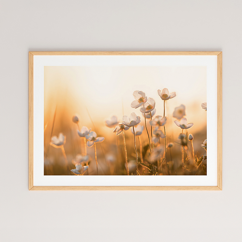Wall art in frame Floraza pakoworld with digital print 48x1.5x33cm