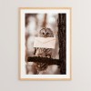 Wall art in frame Owlyne pakoworld with digital print 33x1.5x48cm