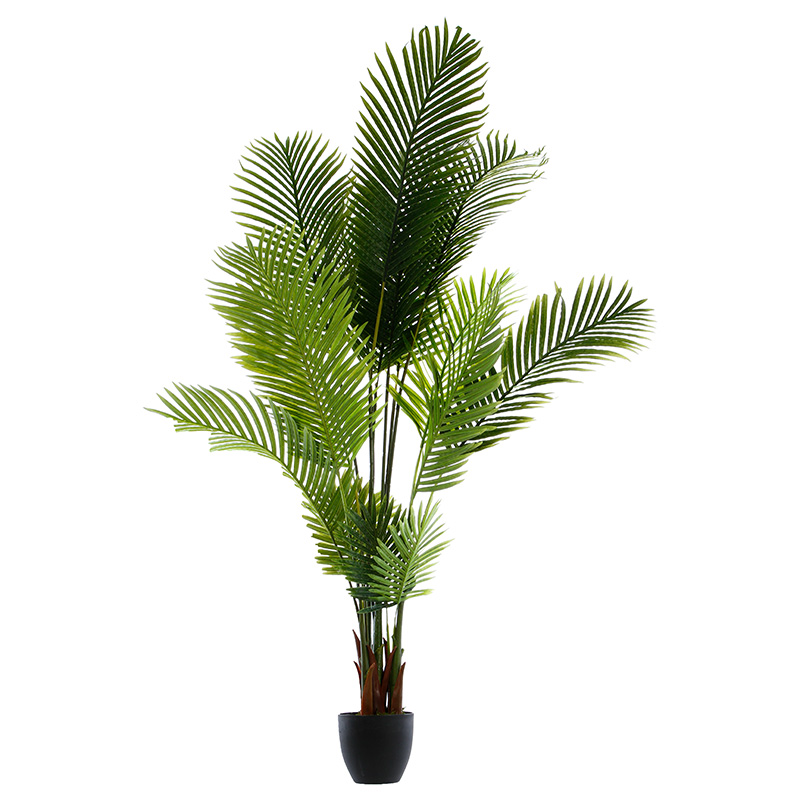 https://www.pakoworld.com/image/catalog/products/199-000273.jpg