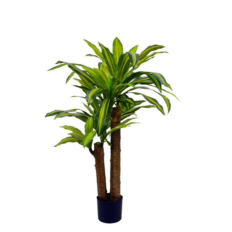https://www.pakoworld.com/image/catalog/products/316-000008.jpg