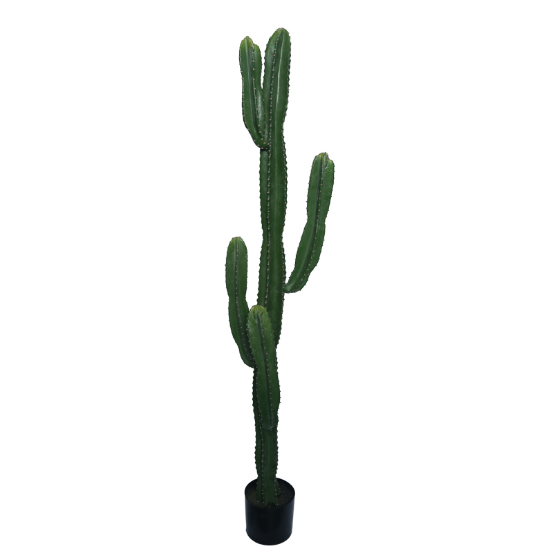 https://www.pakoworld.com/image/catalog/products/316-000022.jpg