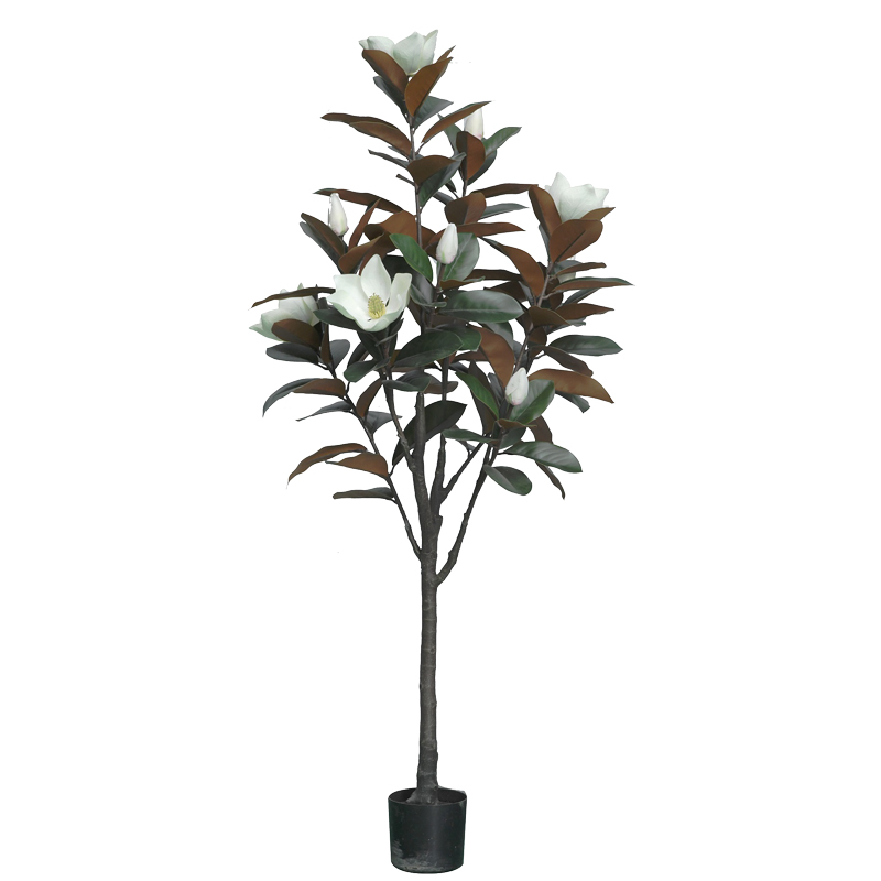 https://www.pakoworld.com/image/catalog/products/316-000027.jpg