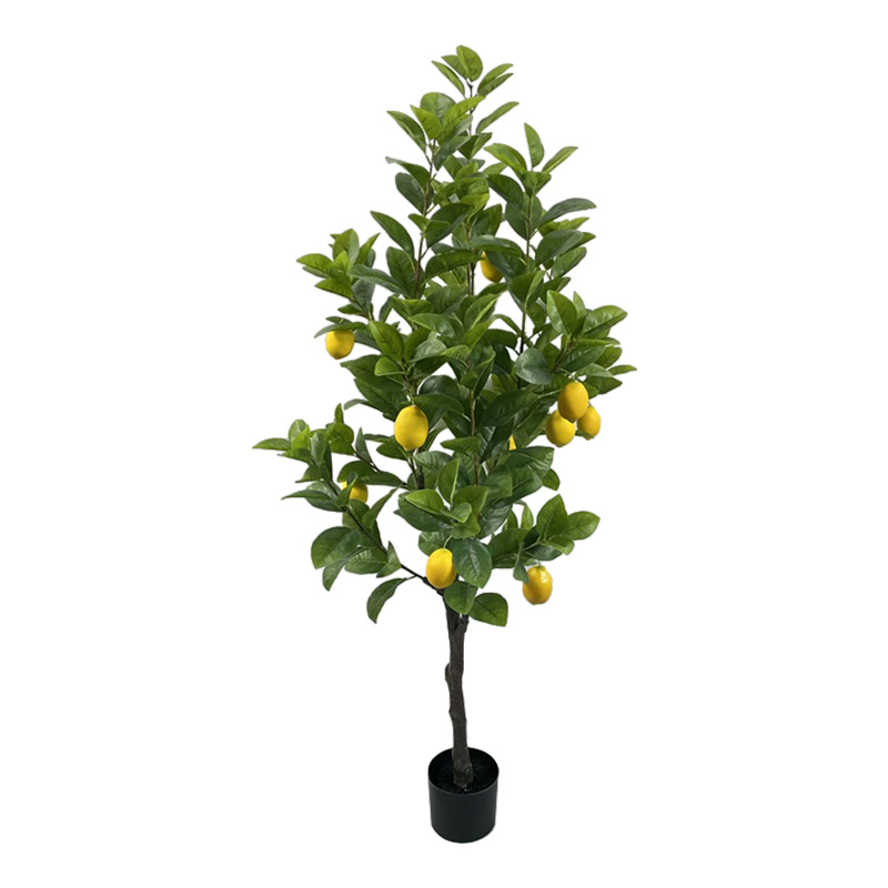 https://www.pakoworld.com/image/catalog/products/316-000033.jpg