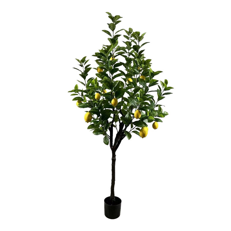 https://www.pakoworld.com/image/catalog/products/316-000034.jpg